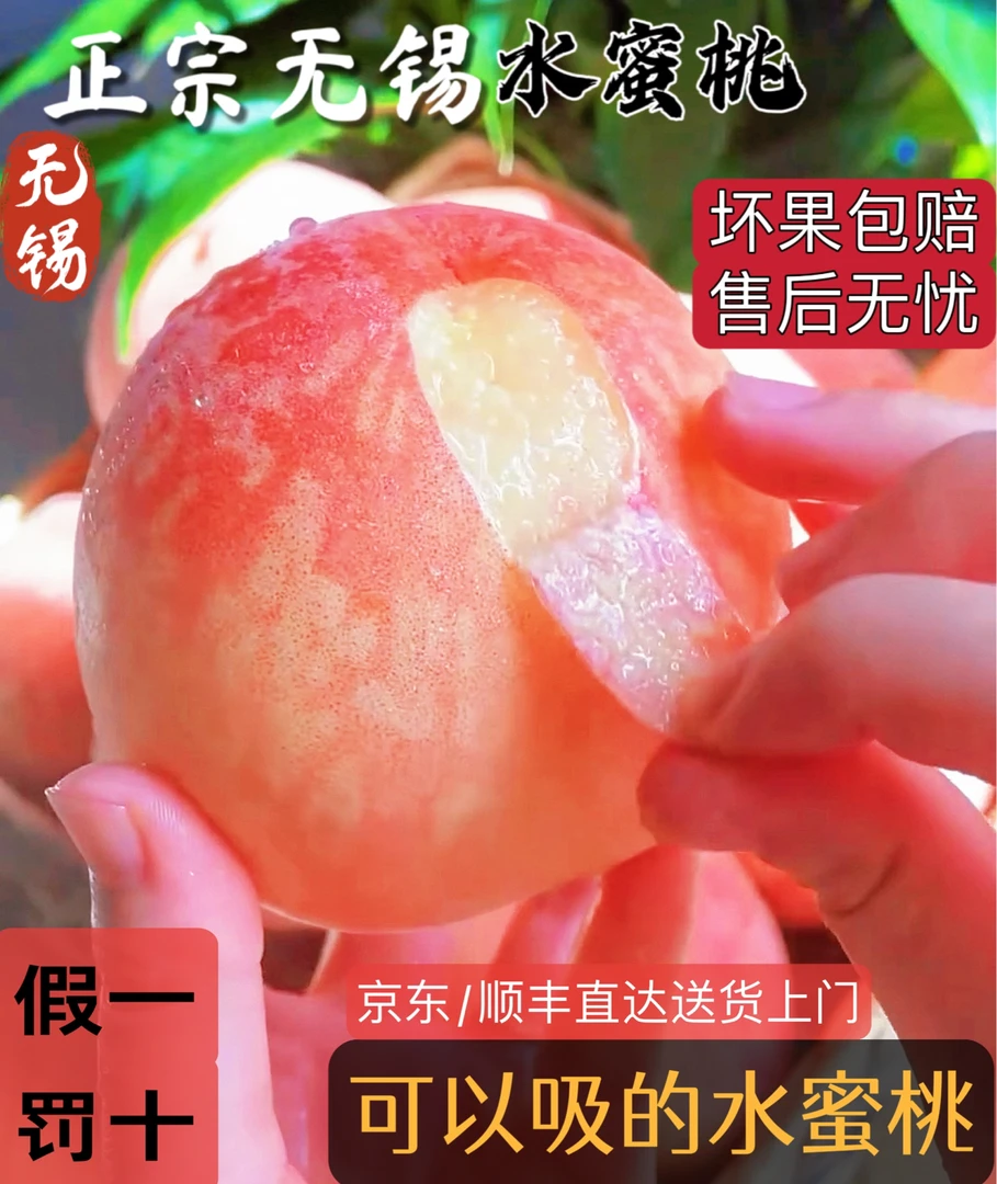 5～6两正宗无锡（白凤）水蜜桃现采现摘生鲜冷链直达