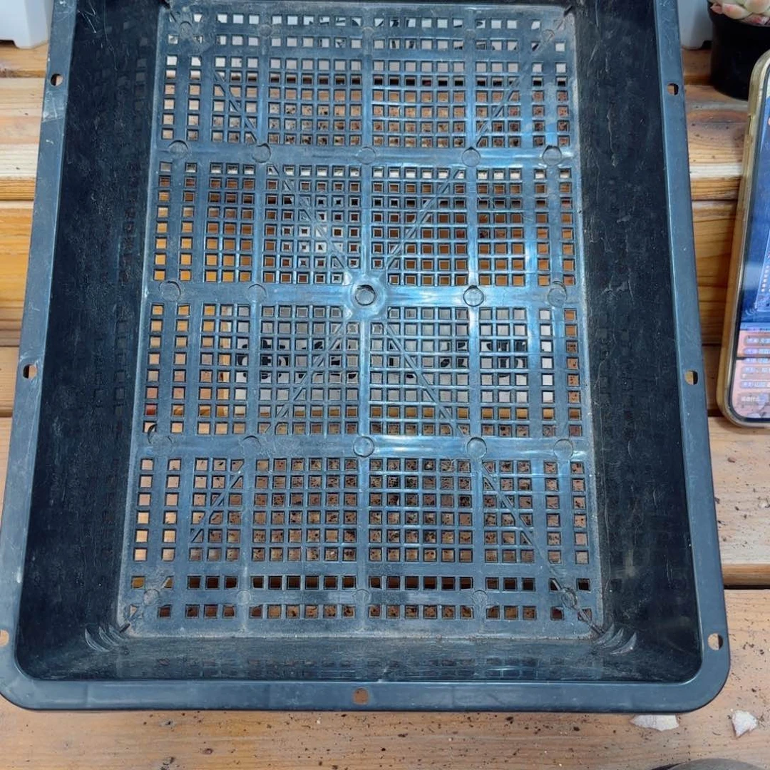 、**有框拍框拍0306-66新疆