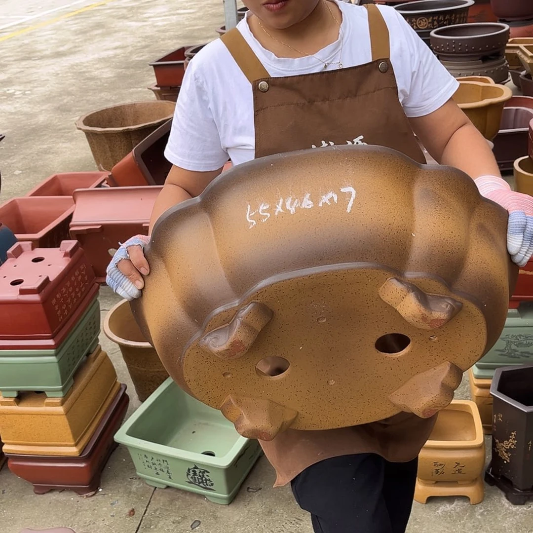 紫砂花盆盆景艺术