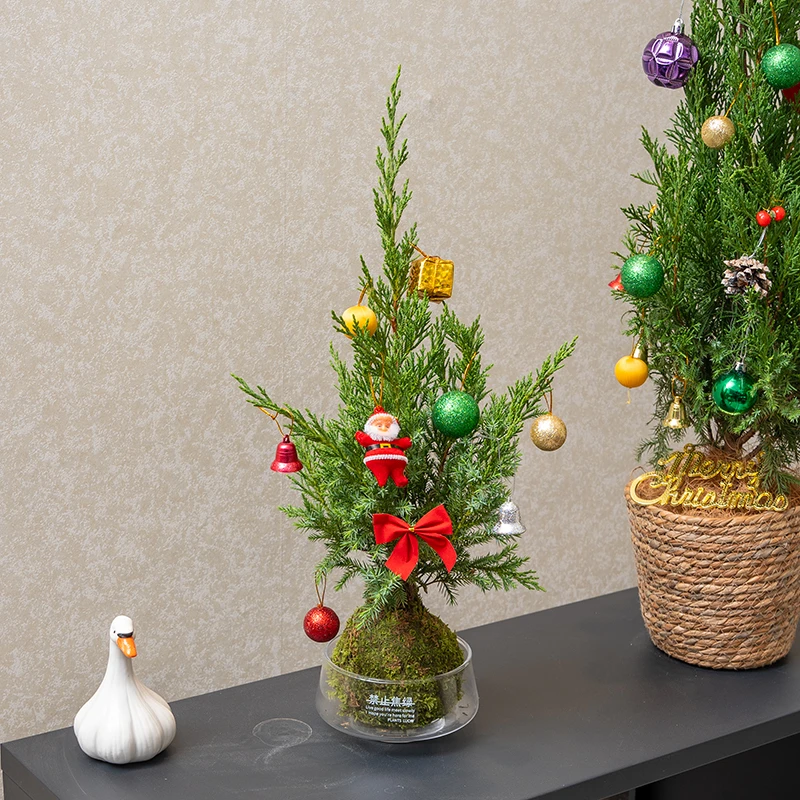 圣诞节松柏塔柏树小型圣诞树摆件客厅店铺装饰品高级氛围感布置