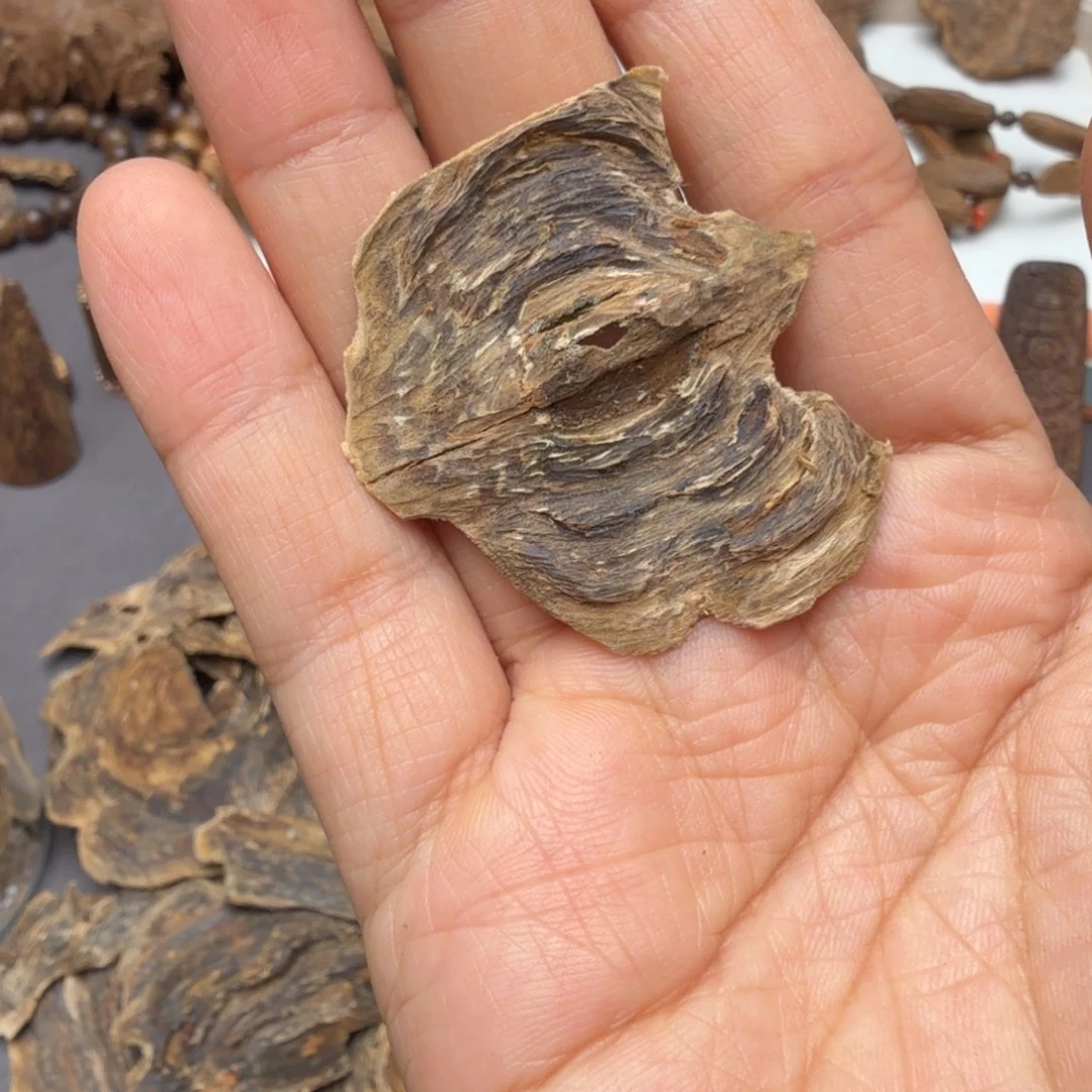 5***7一管线香虎斑奇香1.2