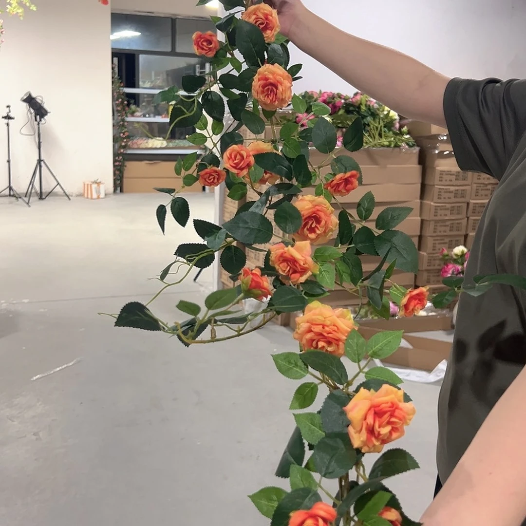 橙色玫瑰花藤月季