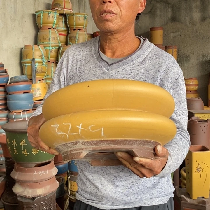 紫砂花盆盆栽花卉苗木种植