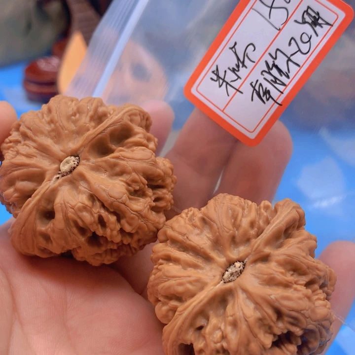 文玩核桃把件朝**翔白狮子