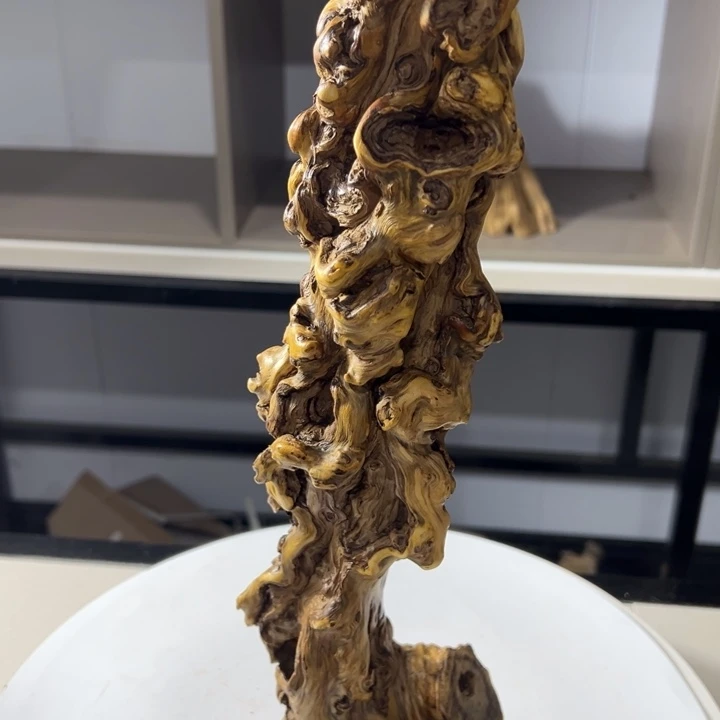 岸***蘭木石榴木榴疤柱子