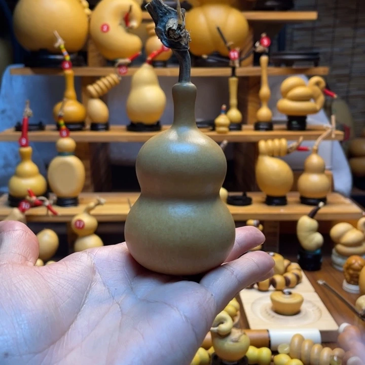 飘***i天然葫芦自然生长