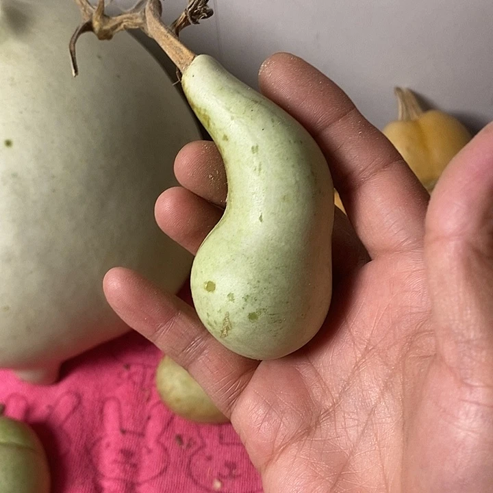 清***徐青皮葫芦手把件葫芦