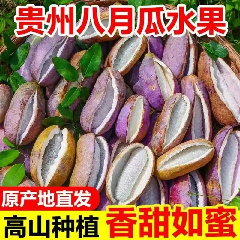 【顺丰】贵州紫皮八月瓜当季水果八月炸预知子三叶木桶果软糯香甜