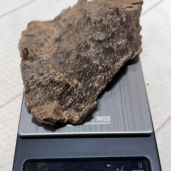 沉香木摆件@**哥沉香厚肉半包头19克，清香带甜