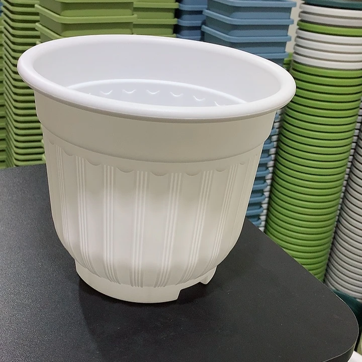 罗马口21白4个无托