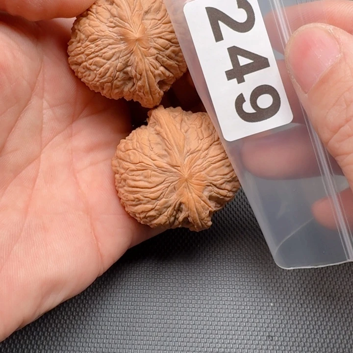 文玩核桃把件开****克泥鳅42