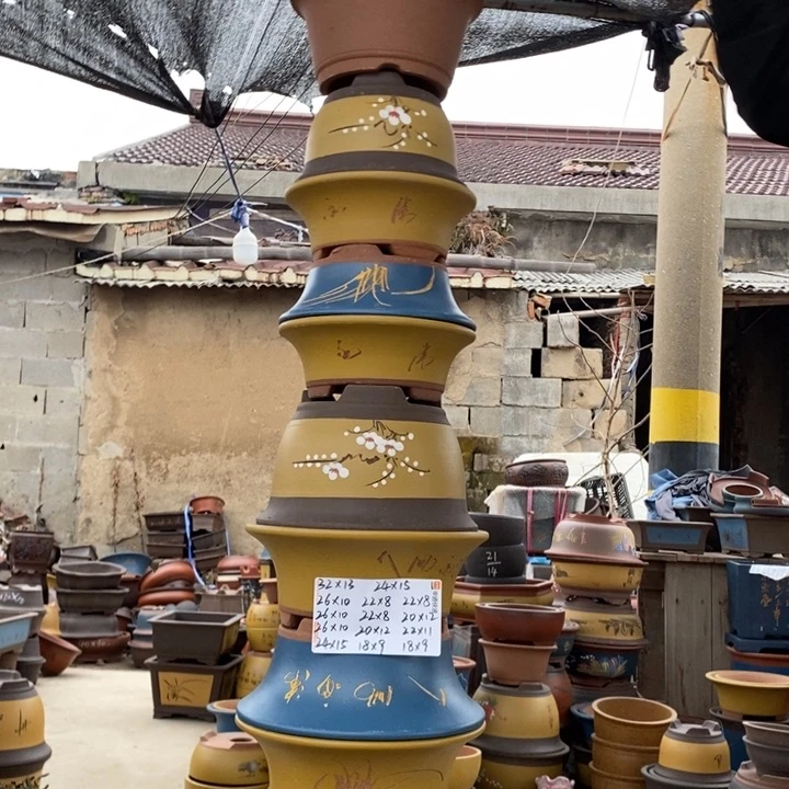 红陶这样我也可以去看