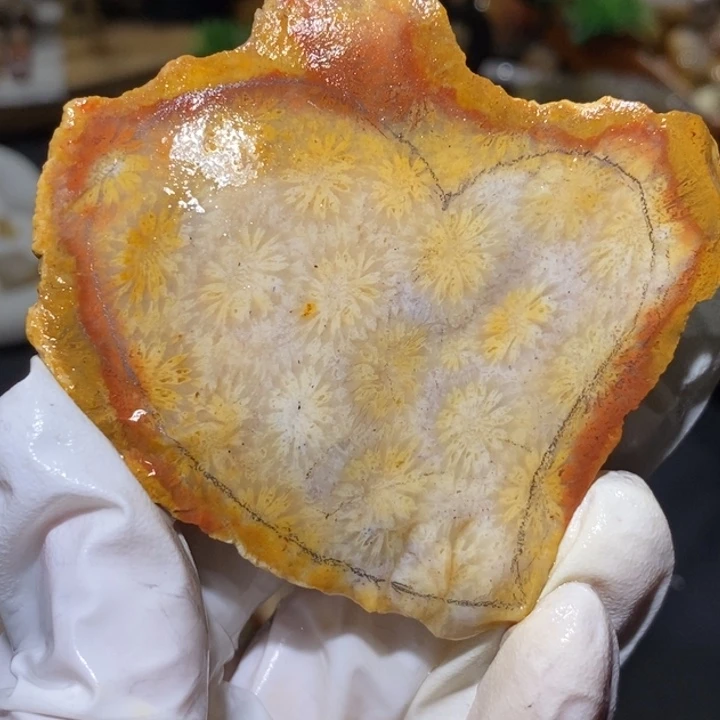 【闪购商品】未镶嵌珊瑚玉硅化玉