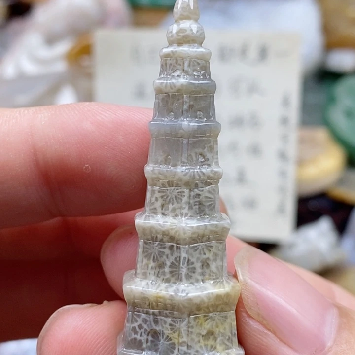 硅化珊瑚（珊瑚玉）未镶嵌颈饰