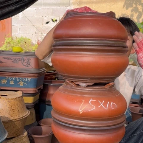 花盆紫砂特价包邮送