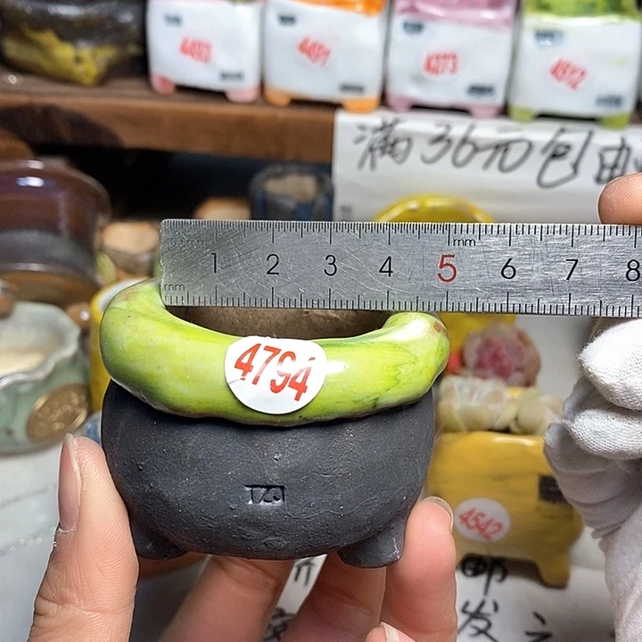 红陶拍5送一个小