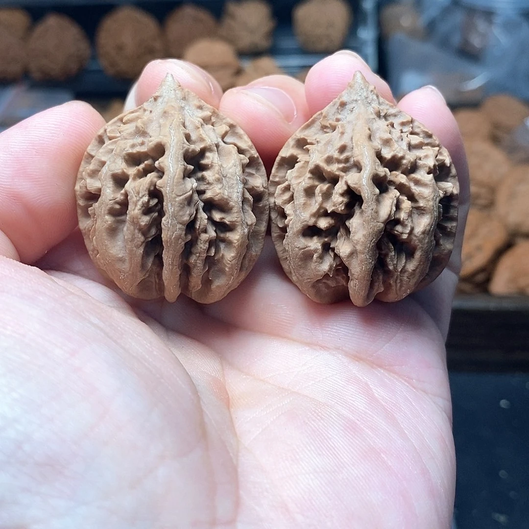 1文玩核桃深海龙骨424