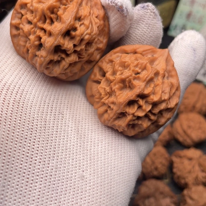 等***v核桃37尺秦岭野生龙鳞