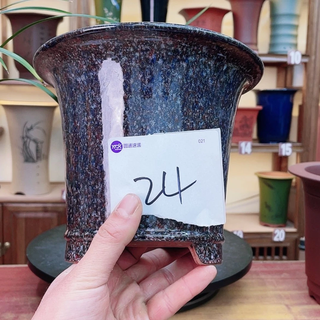 【闪购商品】紫砂花盆心**随兰花75558853688855877