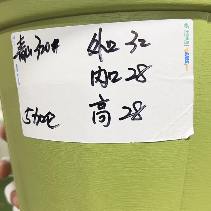 青山口32高28果绿无托5个