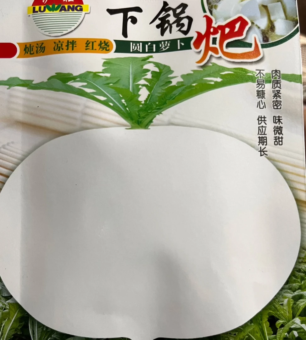 中早熟圆萝卜种子肉质紧密不易糠心适应区域广抽苔晚萝卜蔬菜种子