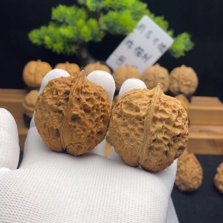 文玩核桃把件云南铁核桃6