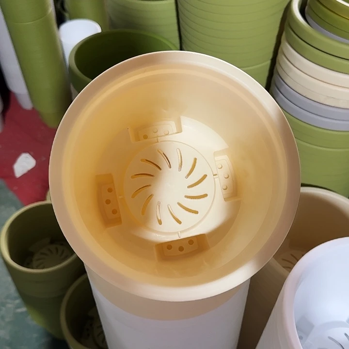 球根21口径6个无托米黄