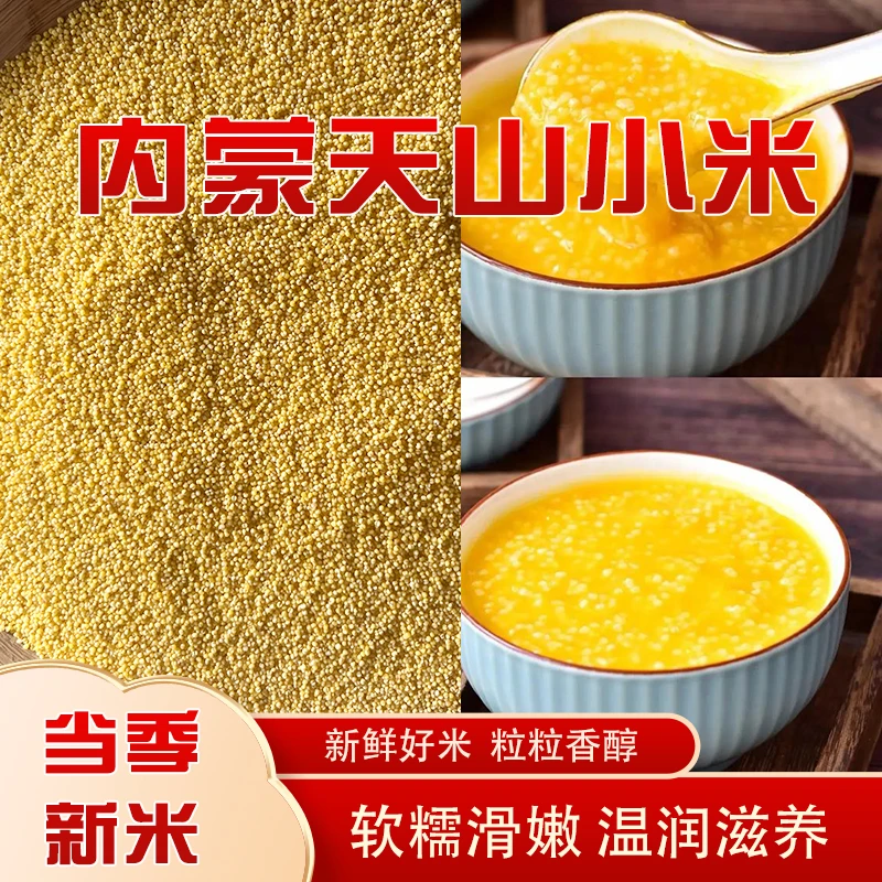 内蒙赤峰特产天山大金苗2024新小米食用杂粮宝宝粥5斤敖汉小米