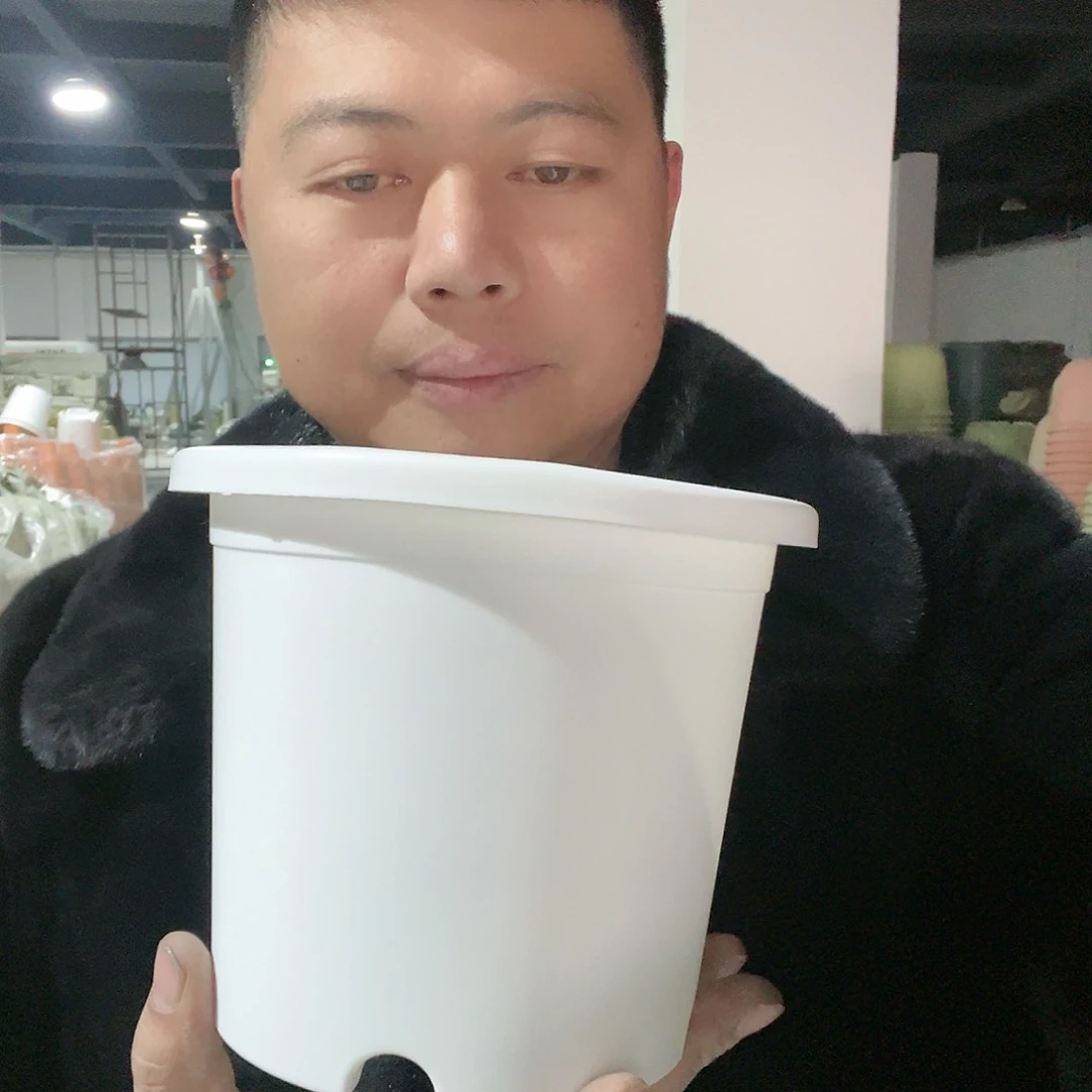 树脂圆2号白5个无托