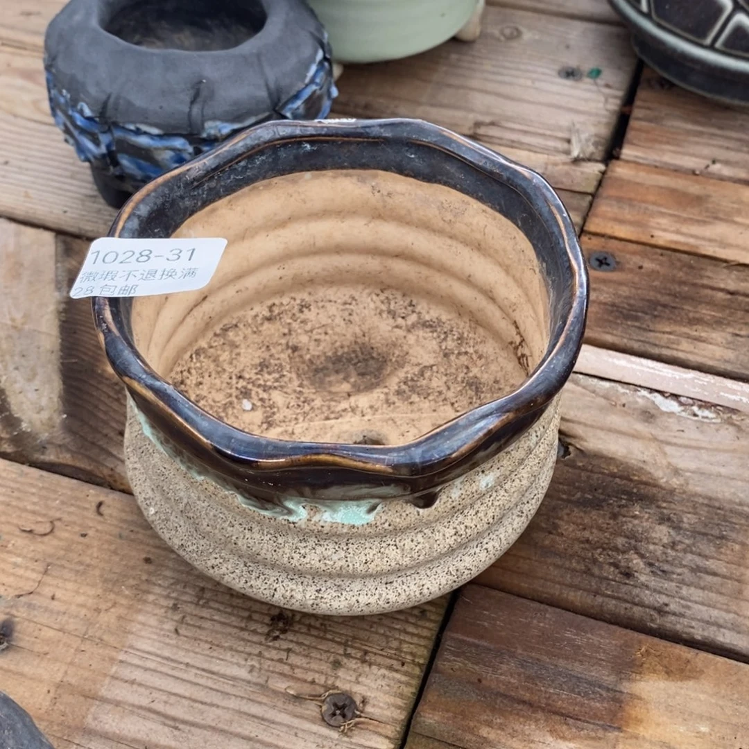 31号多肉盆口径10