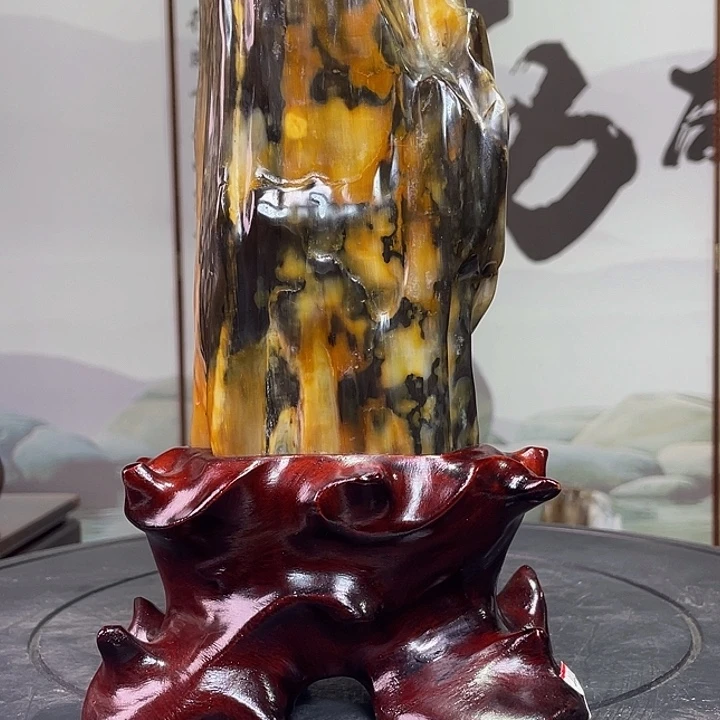 硅化玉未镶嵌珠宝奇石高25