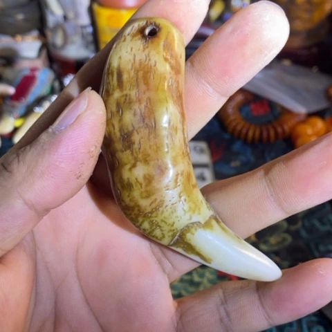 瓷片寻呼台的人是真的有很多