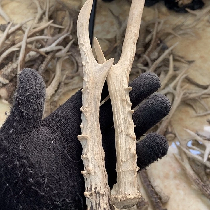 义***大叶紫檀（黑酸枝木类）