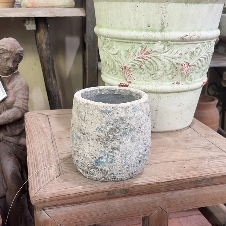 许纯的花房孤品875