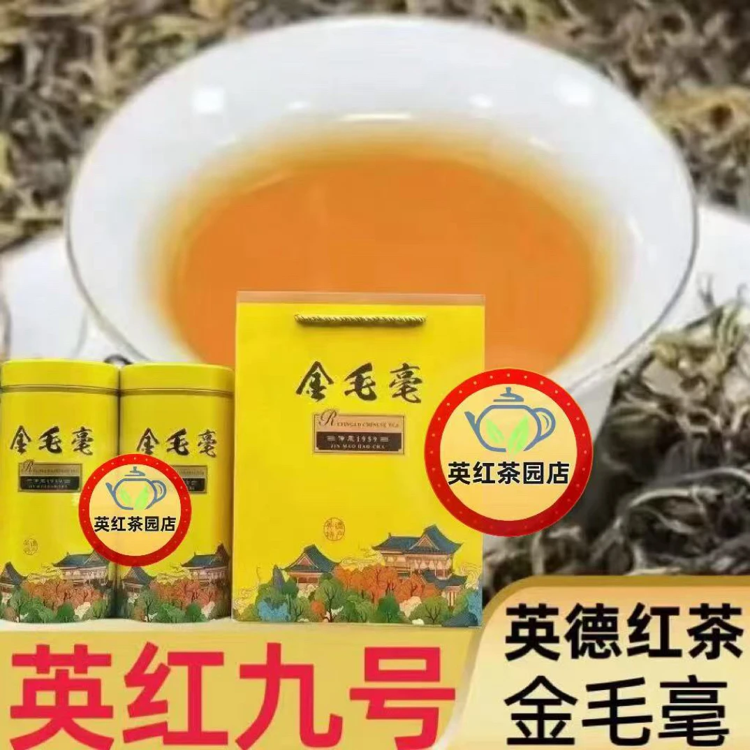 英德红茶英红九号金毛豪罐装红茶英德红茶英红九号红茶金毛毫红茶