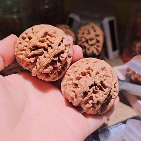 -***行文玩核桃吊坠47粗筋