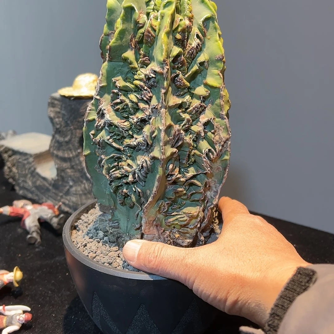 玩****叔大核桃8888888888