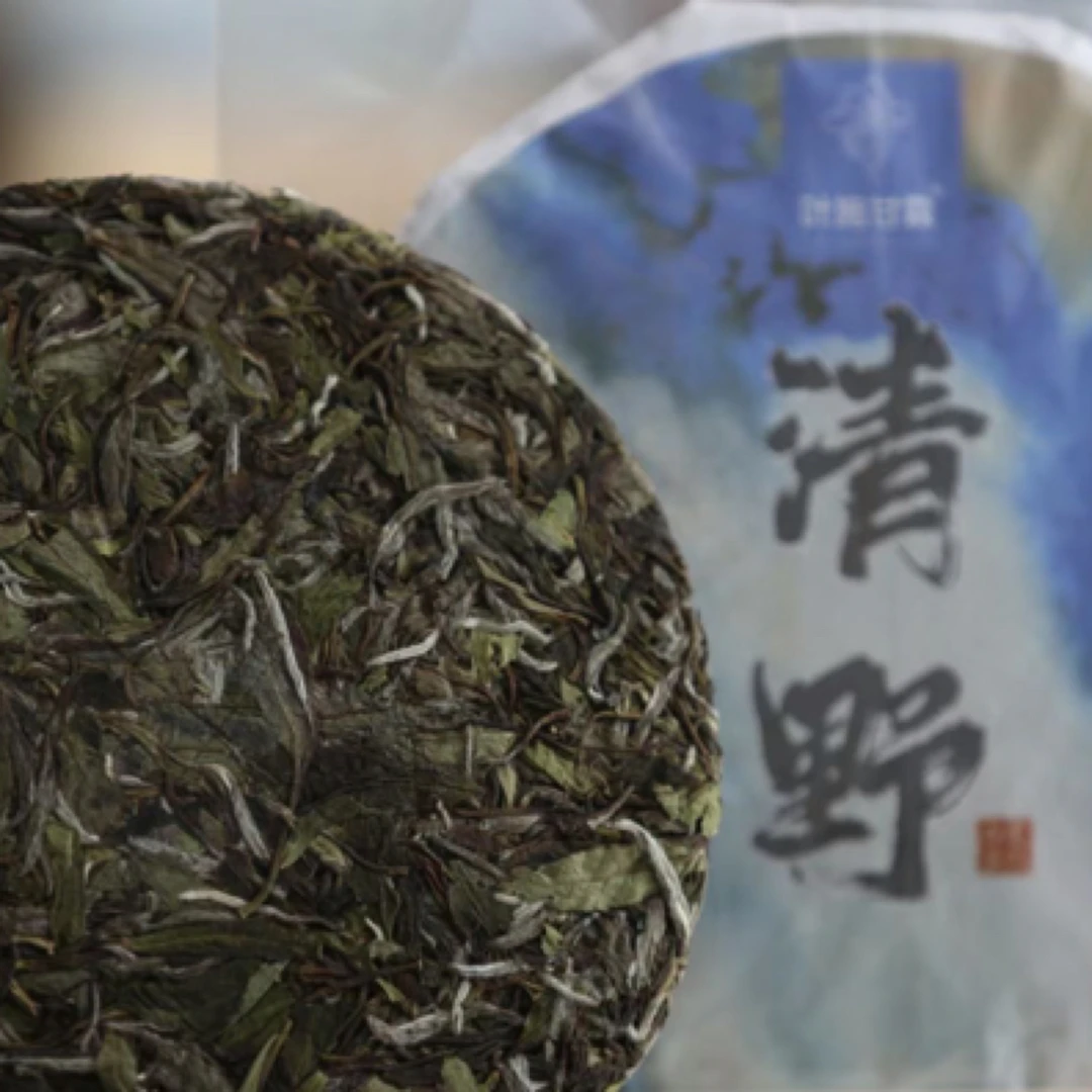 叶施甘霖｜2019年白牡丹 老白茶 清野 白牡丹茶饼300克