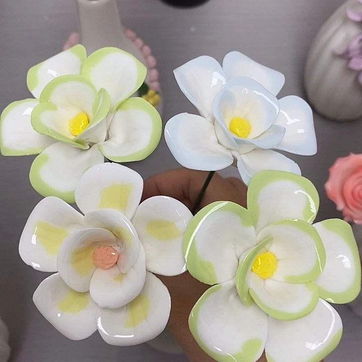 陶瓷陶瓷材料加工