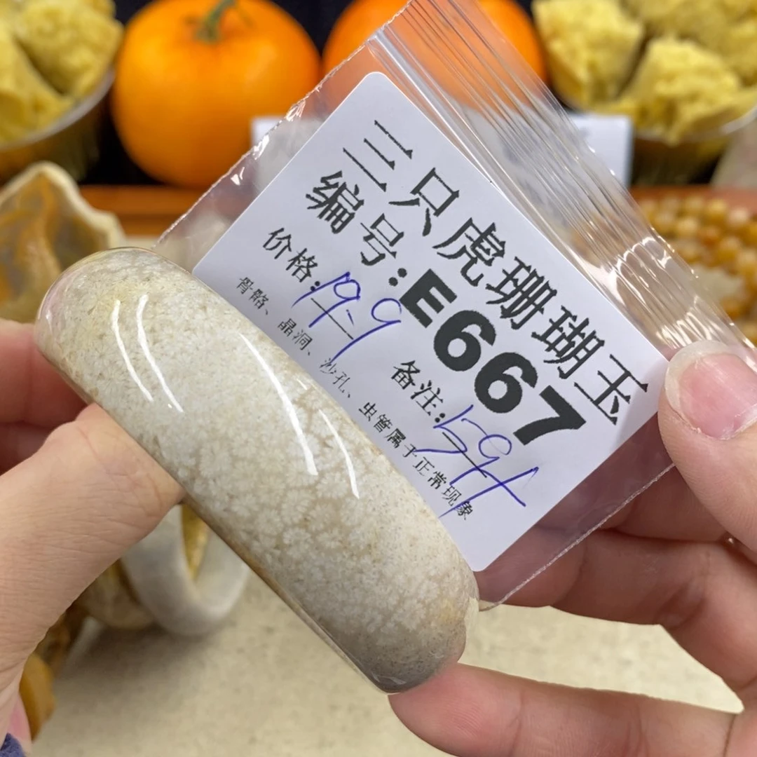 硅化珊瑚（珊瑚玉）1未镶嵌黑*
