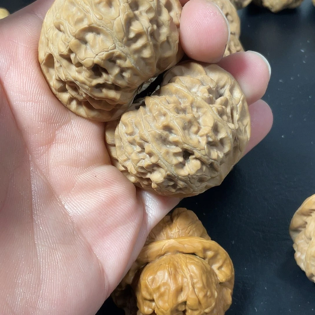 宫灯43一物一图全品白茬