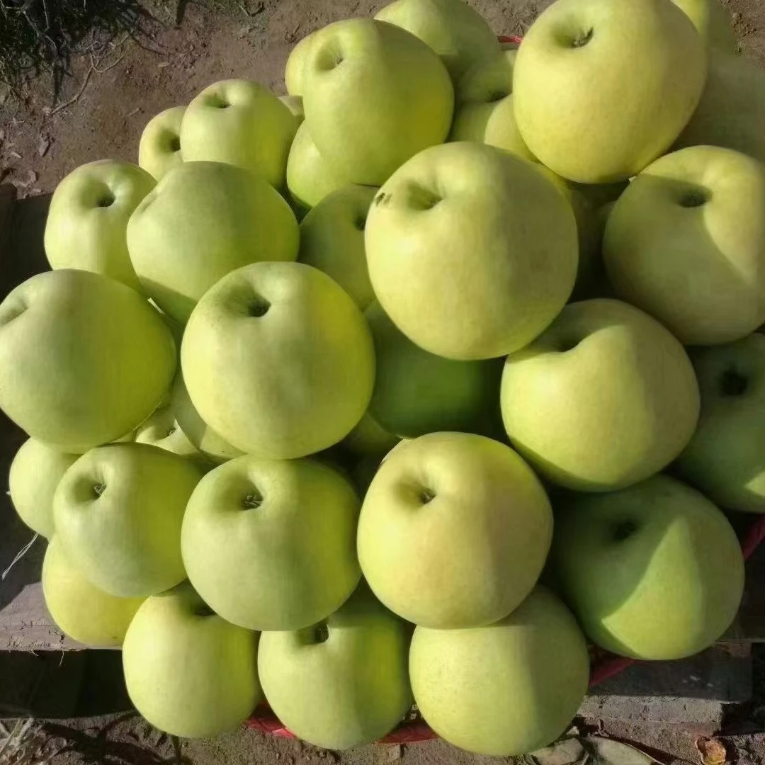 〔孕妇水果酸酸甜甜〕贵州高原青苹果酸甜可口现摘新鲜脆甜应季水果