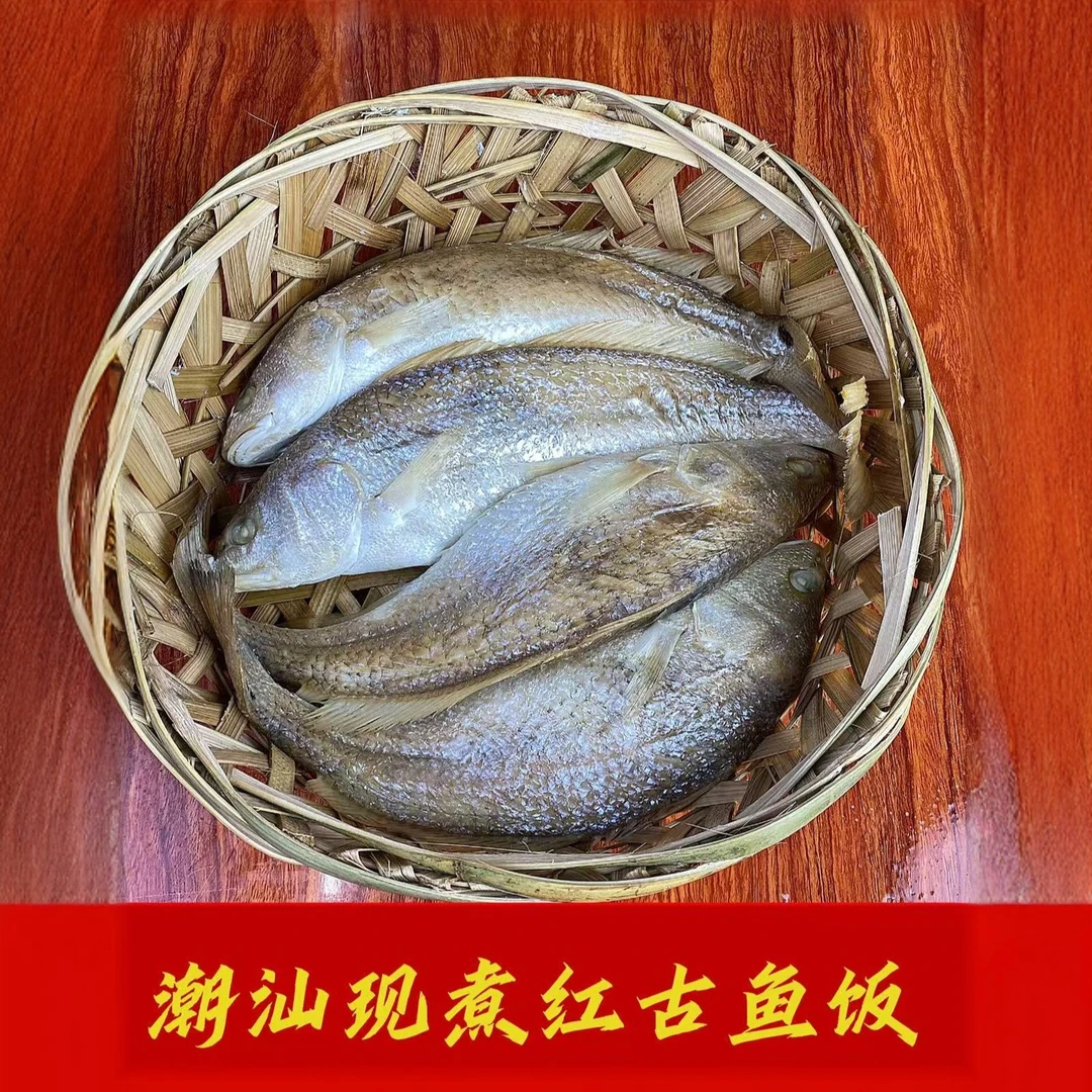 潮汕打冷红古鱼（每日新鲜）（顺丰发货）