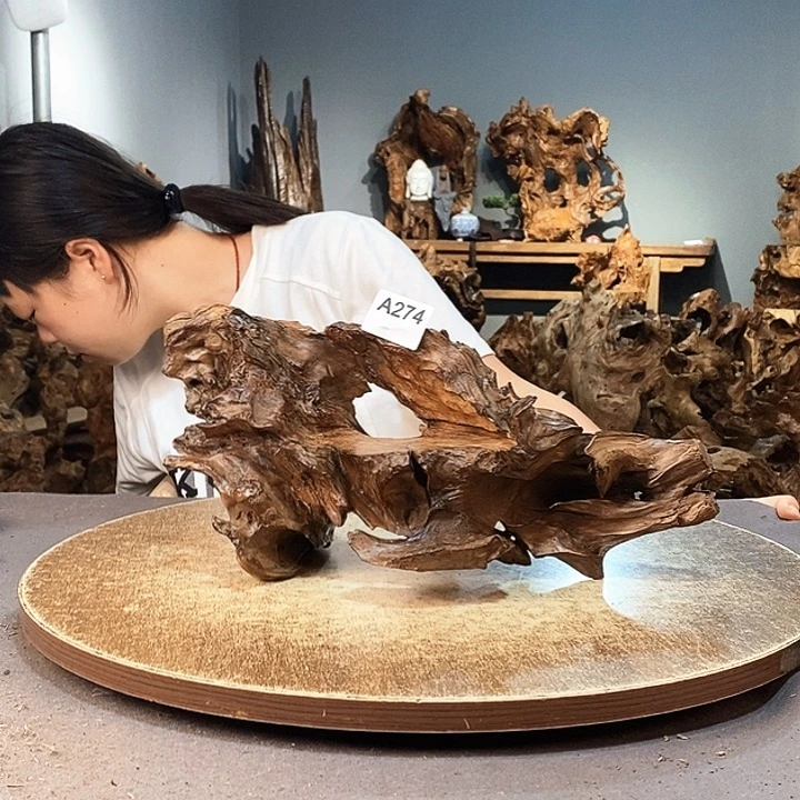 茶盏马*哥274株木随行的小根艺