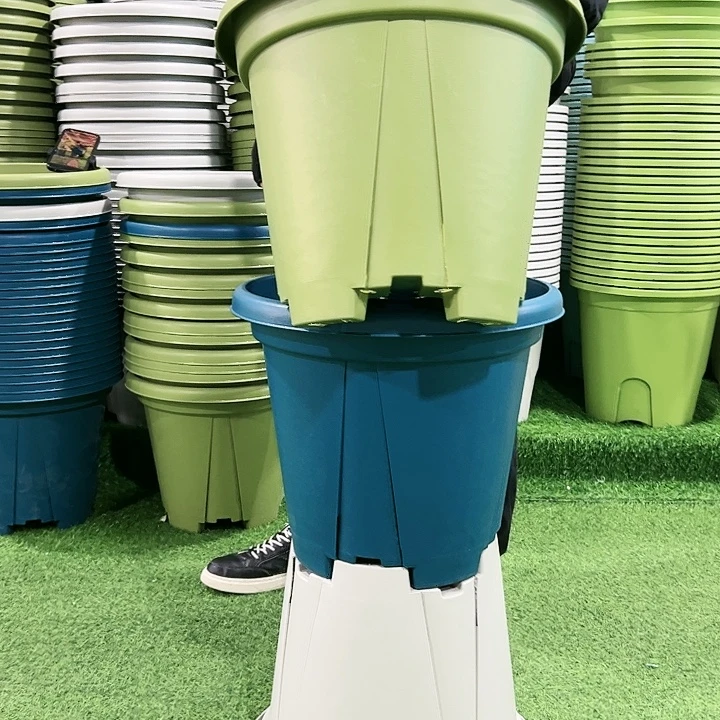 正品青山口40高35果绿色3个无托