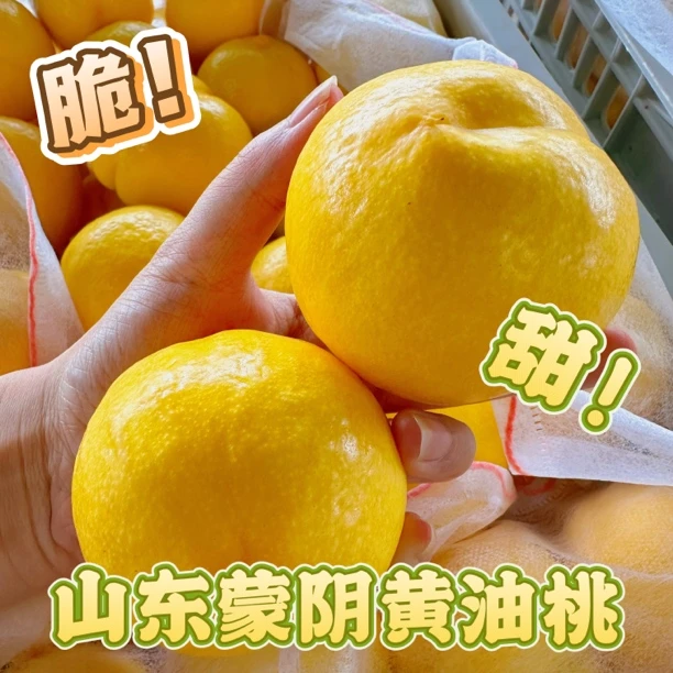 【顺丰包邮】山东蒙阴蜜桃黄油桃脆甜可口现摘现发3-5斤当季新鲜水果桃子山东省