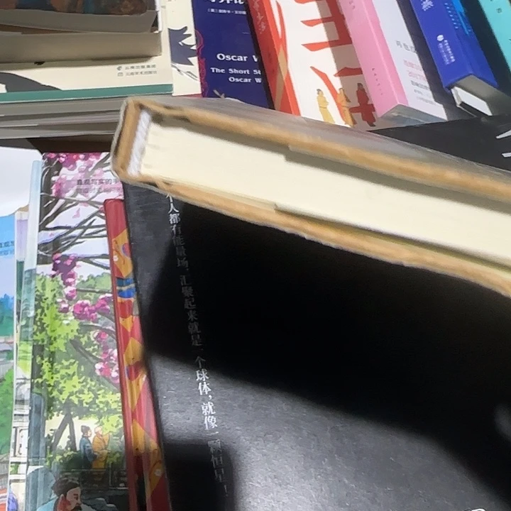 瑕疵悉达多福利品