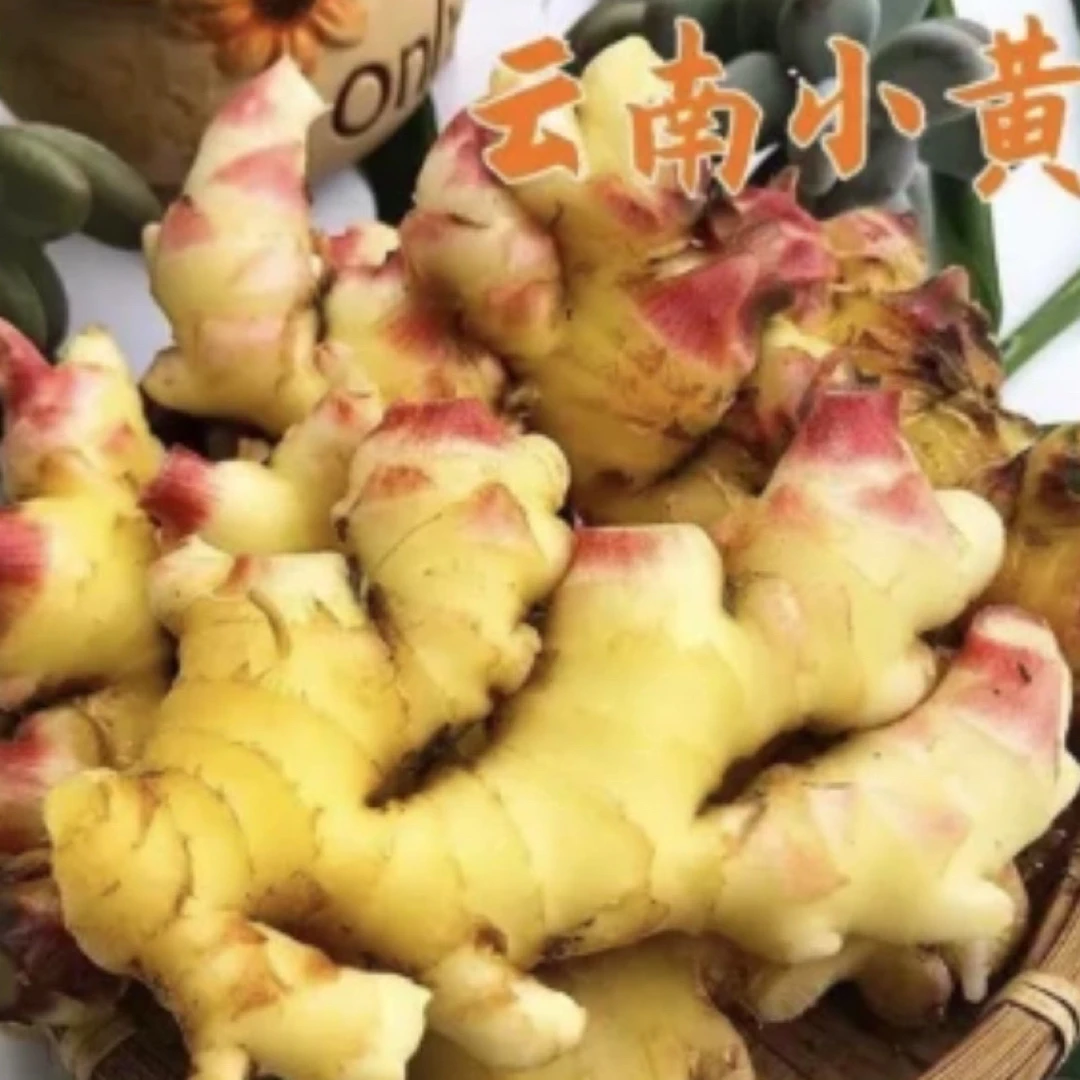 云南高山现挖小黄姜