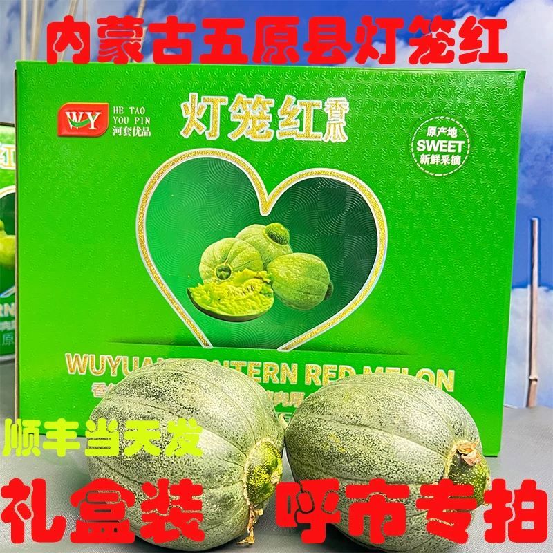 【呼市专拍】礼盒装内蒙古五原县灯笼红香瓜净重8斤顺丰发现采现发内蒙古自治区