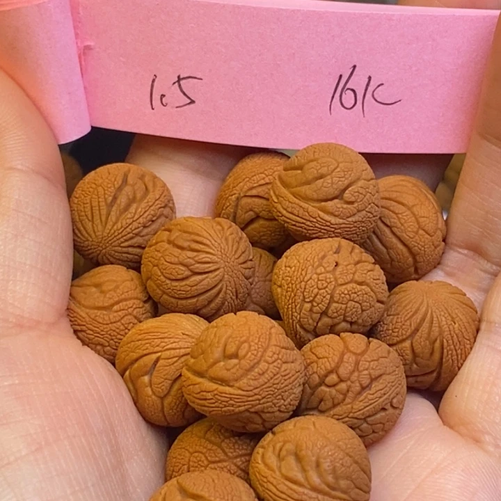 桃核吊坠秦岭龙纹桃核15尺寸